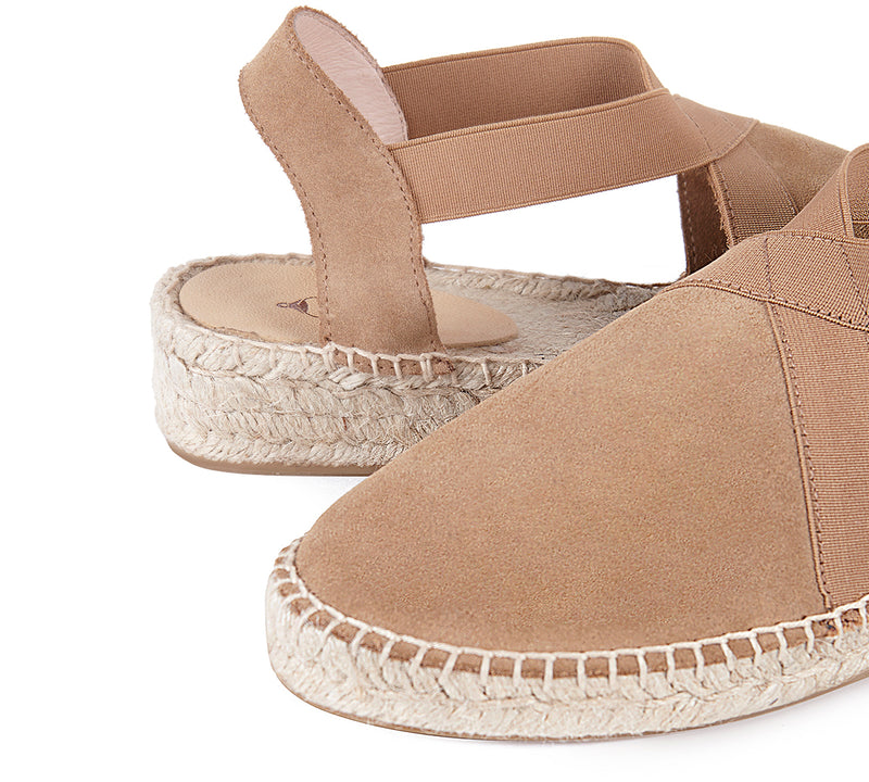 Esparto Barbate Camel